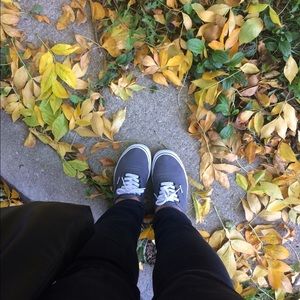 Meet your Posher, Sylvia